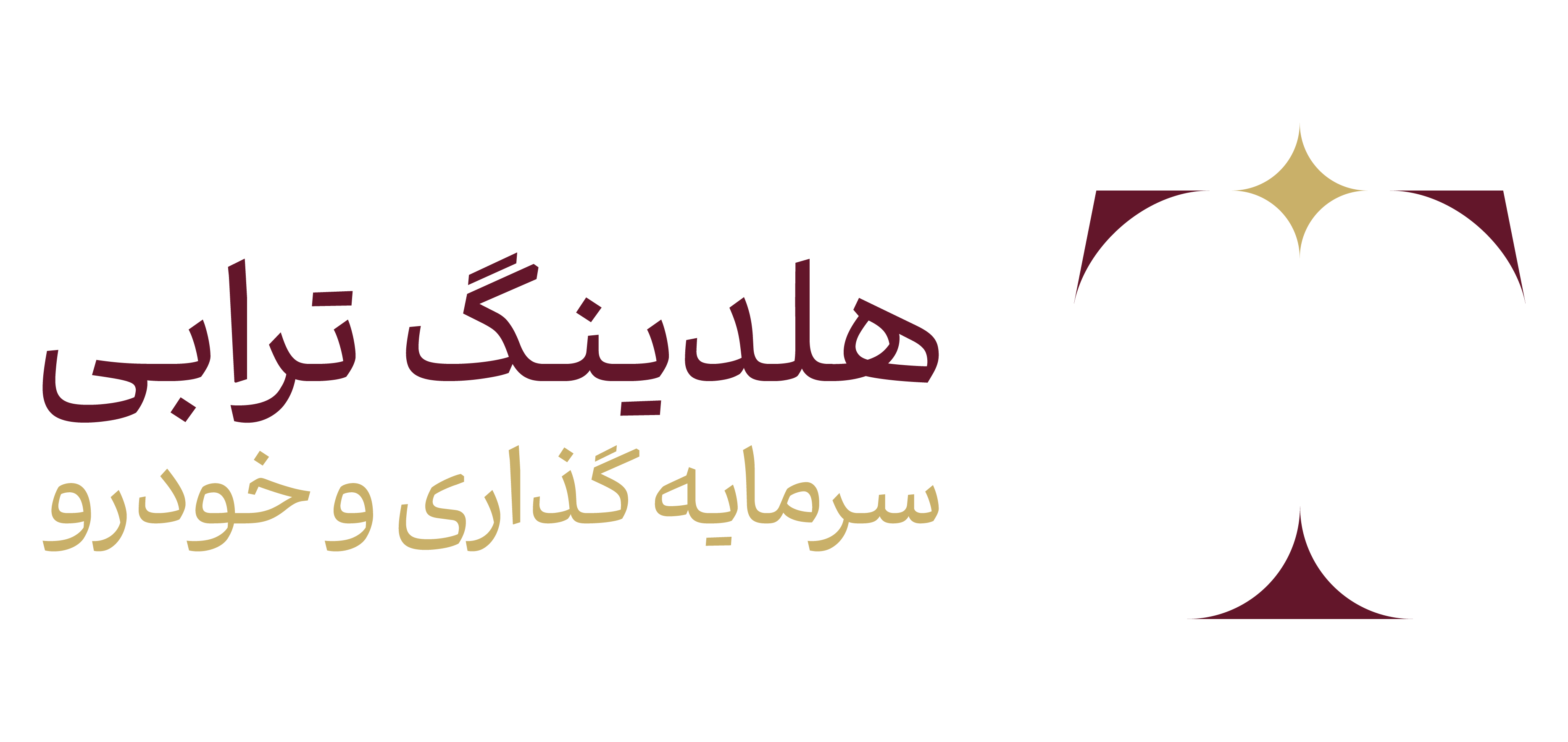تورابی هولدینگ